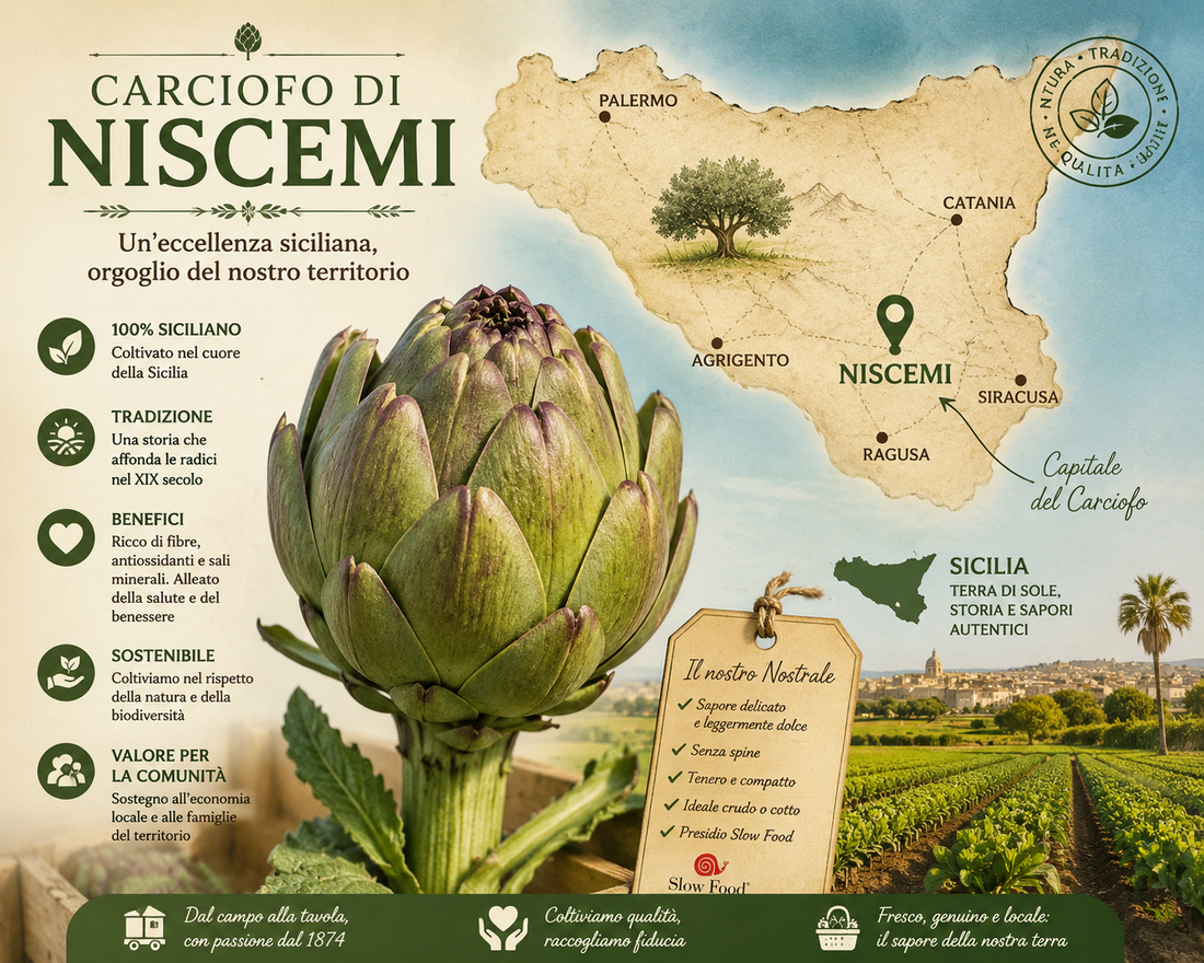Il Carciofo di Niscemi: un'eccellenza siciliana tra tradizione, salute e identità del territorio