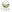 Azienda Agricola C.A.S.A. Srl - Home